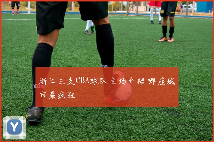 浙江三支CBA球队主场介绍 哪座城市最疯狂
