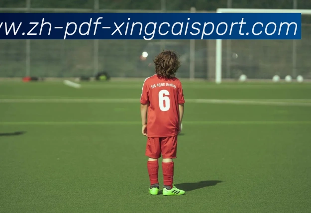 杏彩体育平台生态图