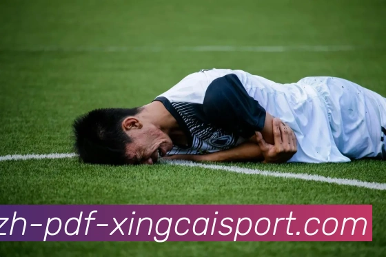 杏彩体育全站App 杏彩体育全站App